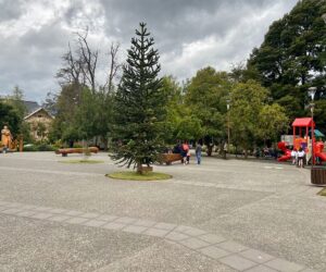 PLAZA PUCON